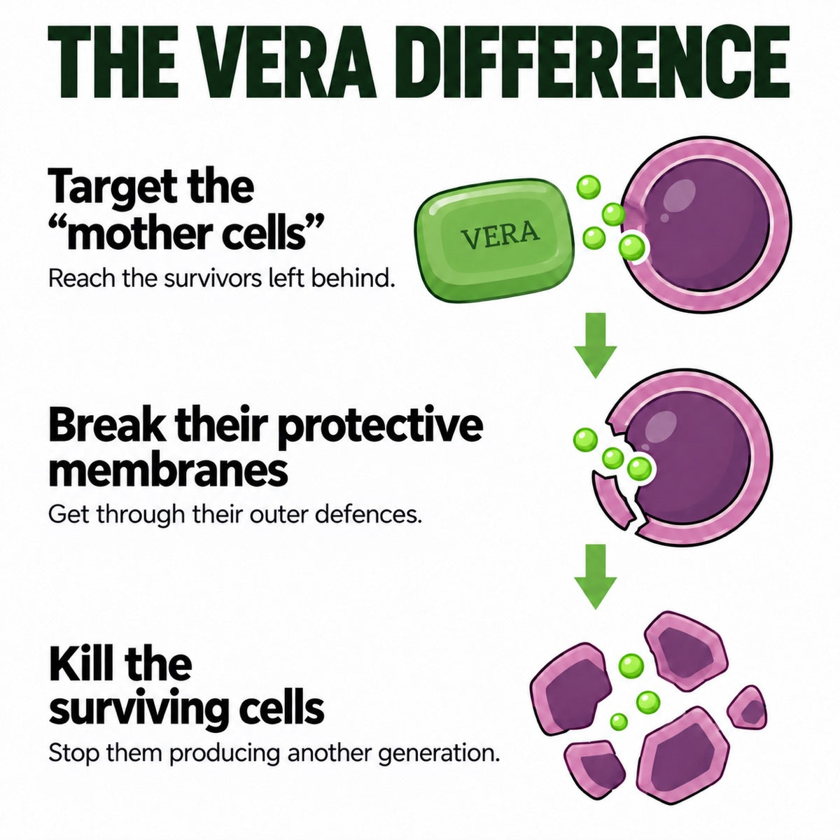 The VERA difference. 1, target the mother cells and reach the survivors left behind. 2, break their protective membranes and get through their outer defences. 3, kill the surviving cells and stop them producing another generation.